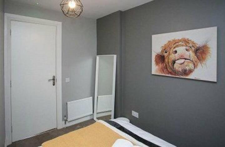 Amazing 3 Bedroom Home, Prime Bt1 Postcode And City Centre Location เบลฟาสต์ ภายนอก รูปภาพ
